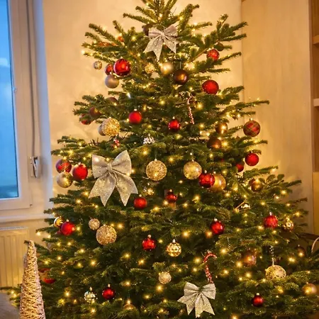 Magnifique De 91m2 Au Centre De