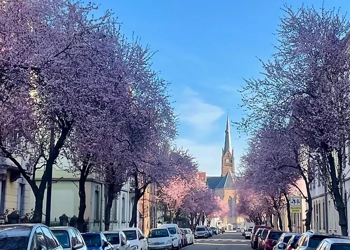 Magnifique De 91m2 Au Centre De * Colmar